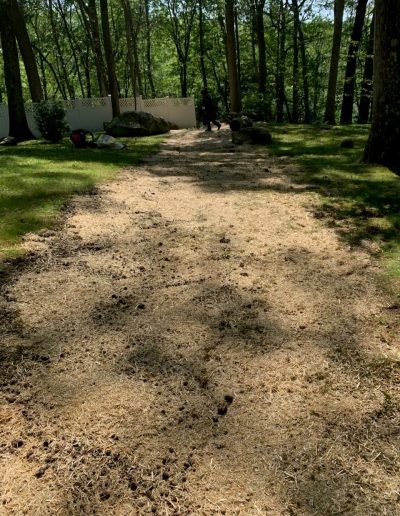 A patchy, sunlit area of dry grass and dirt in a wooded backyard with scattered rocks and tools near a white fence in the background.