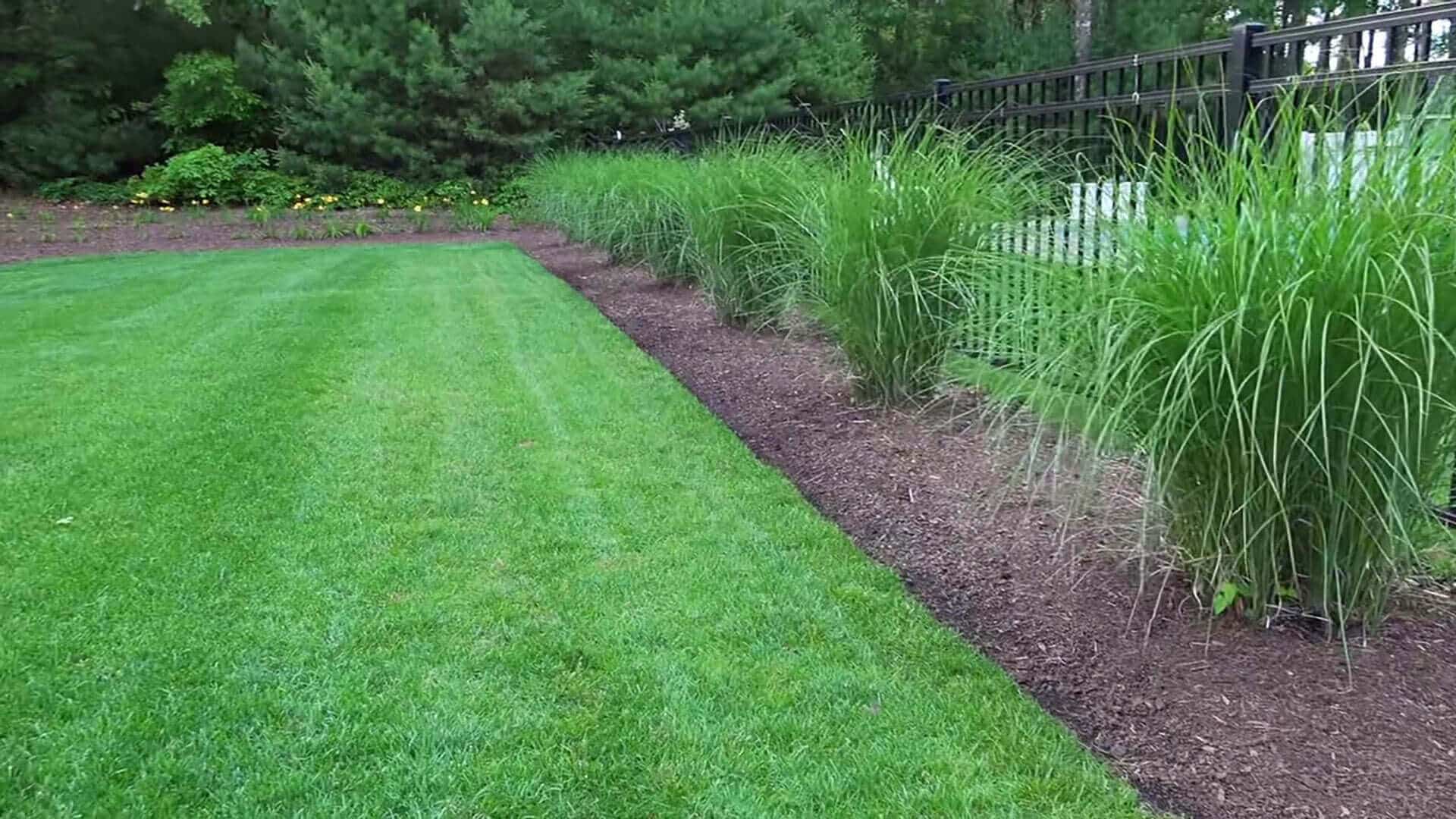Lush Green Stripped Lawn - A-Z Landscaping LLC