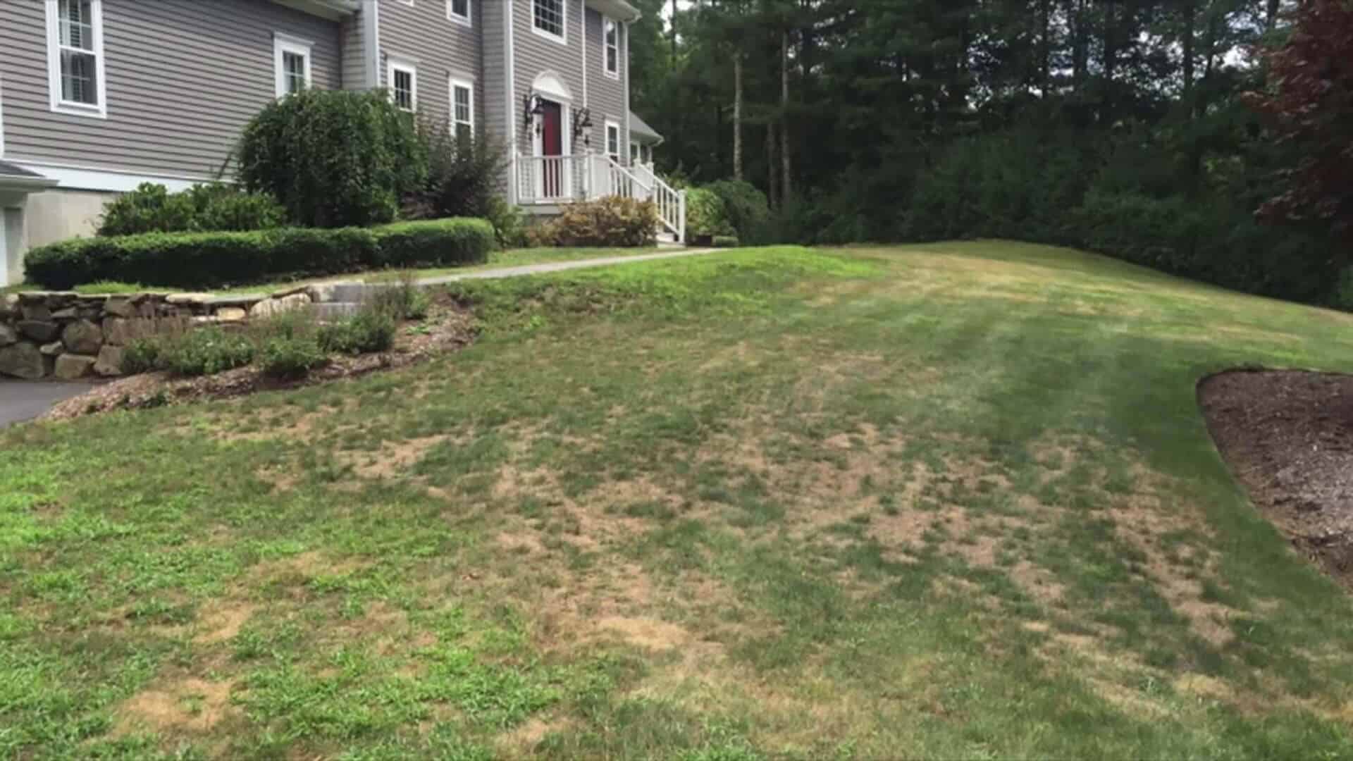 Lawn Restoration Before Image Ridgefield CT A-Z Landscaping LLC