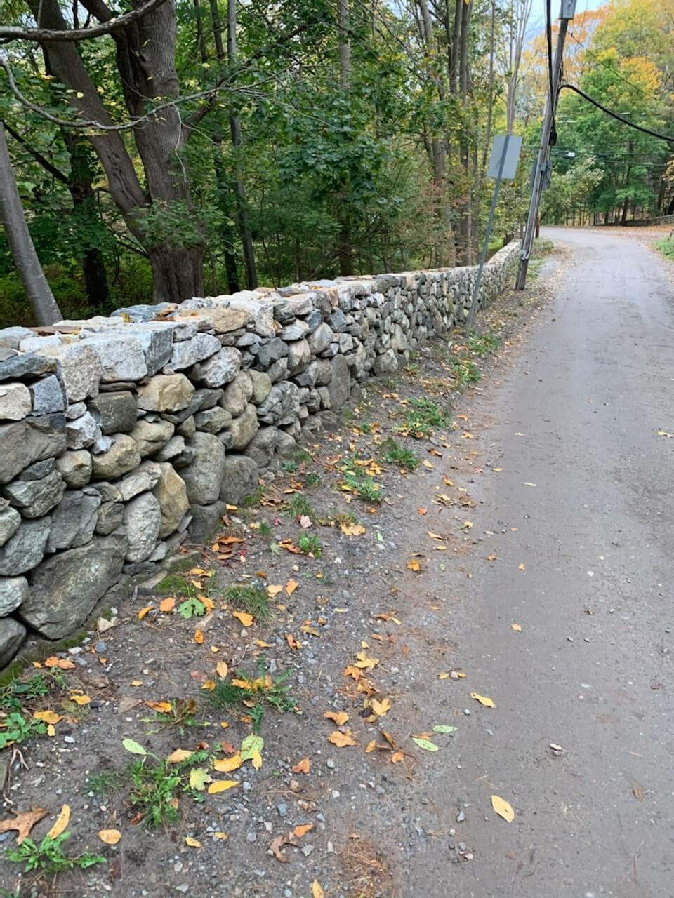 Stone Wall and Trees | A-Z Landscaping