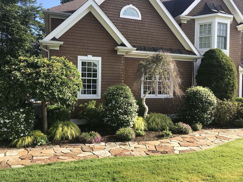 Brown house with green plants