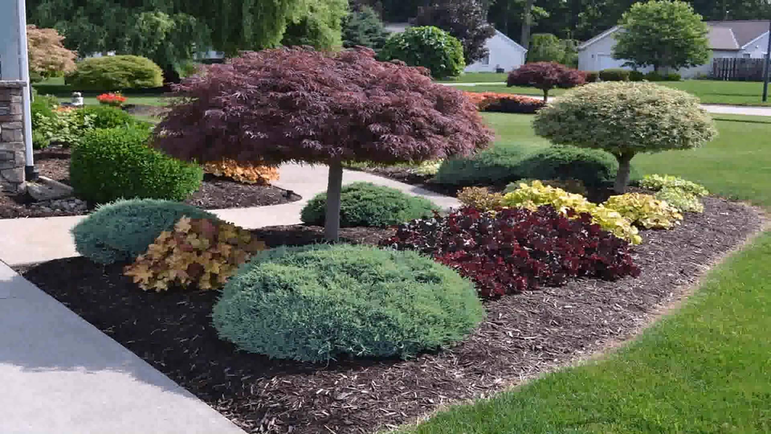 landscaping shrubs by A-Z Landscaping