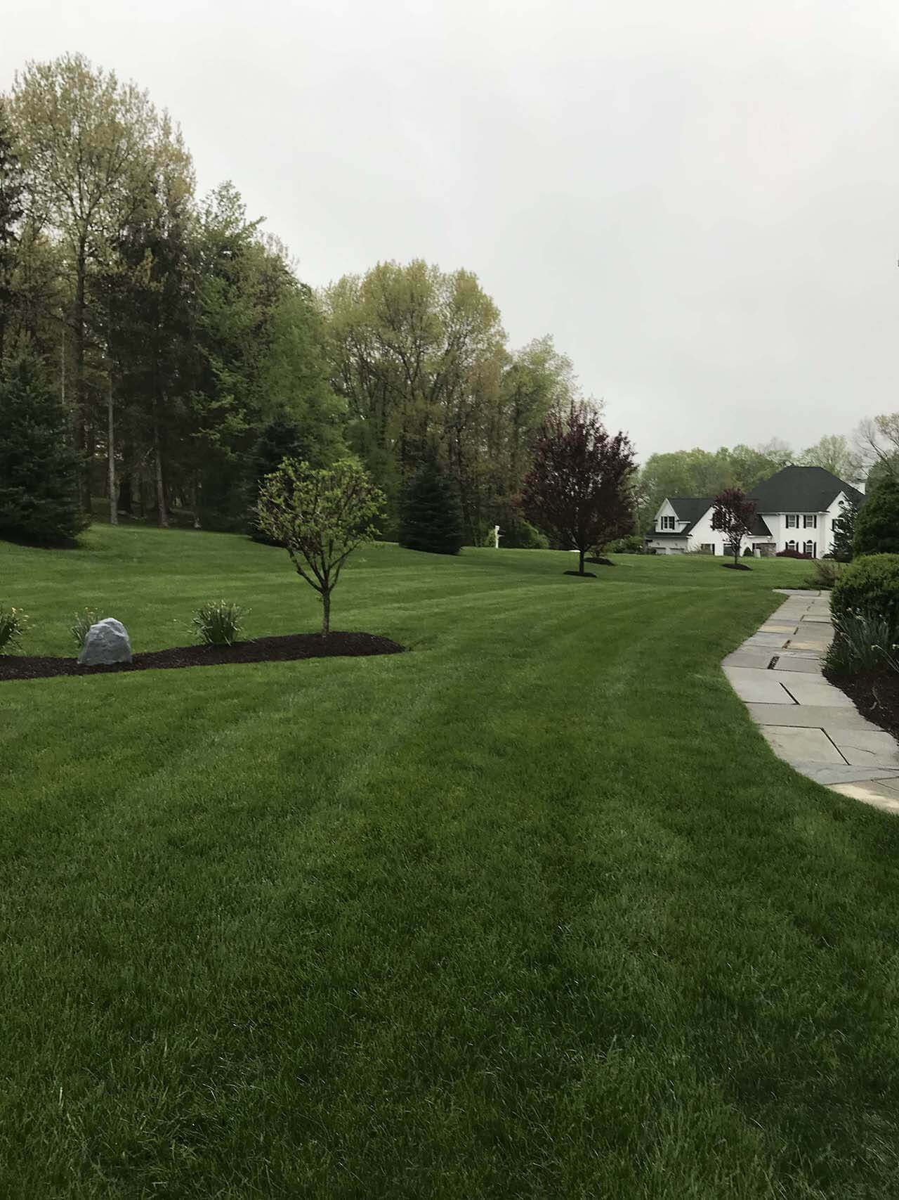 A green lawn | A-Z Landscaping