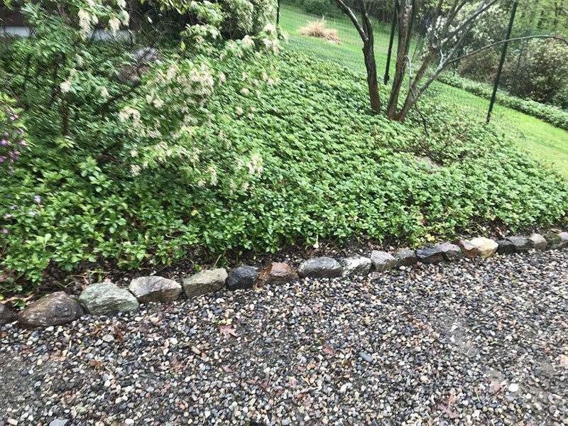 A pathway gravel with plants | A-Z Landscaping