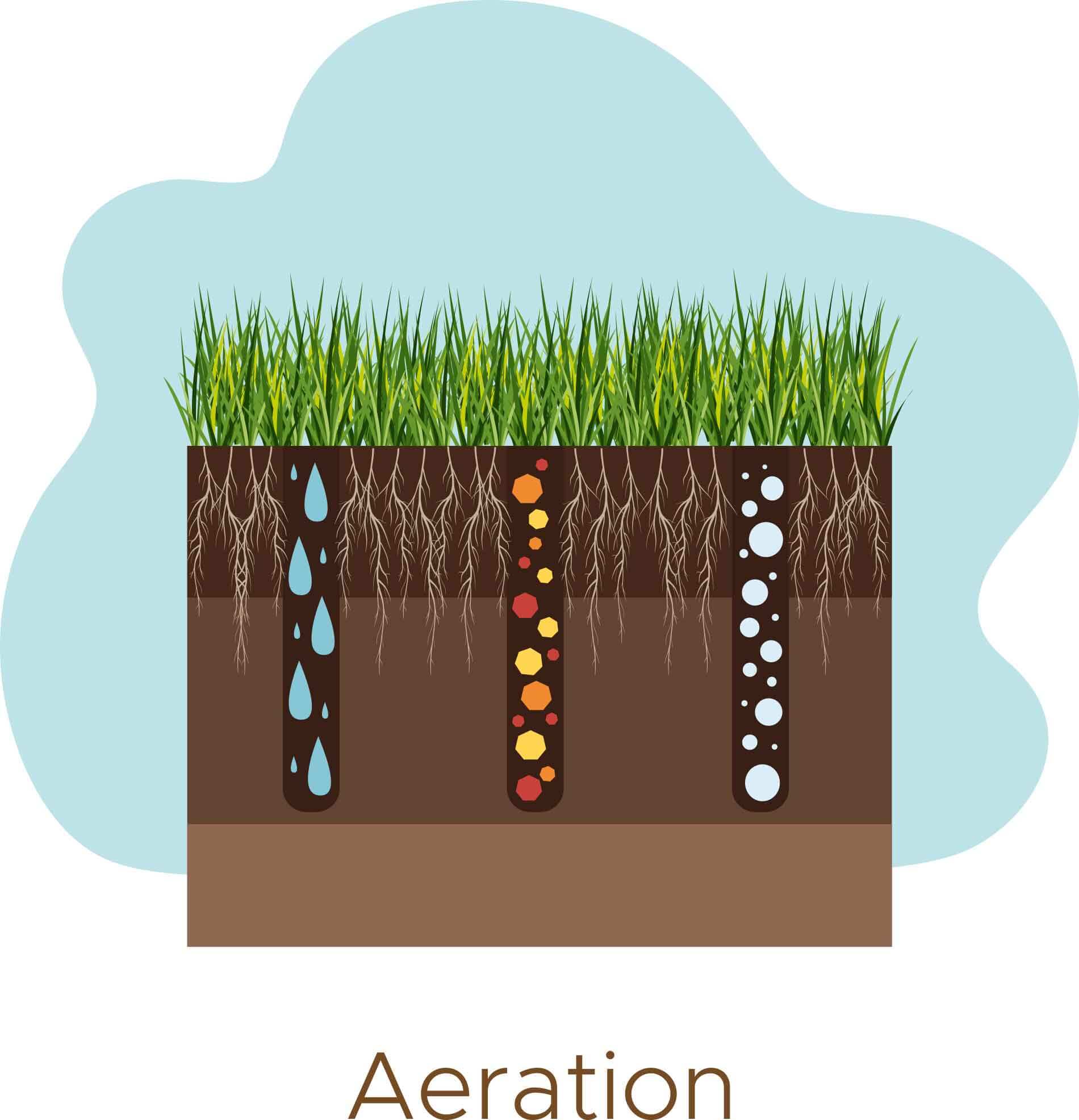Aerating Lawns A-Z Landscaping