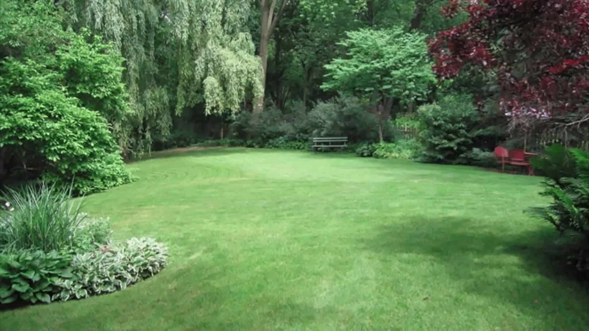 Trees and Backyard A-Z Landscaping