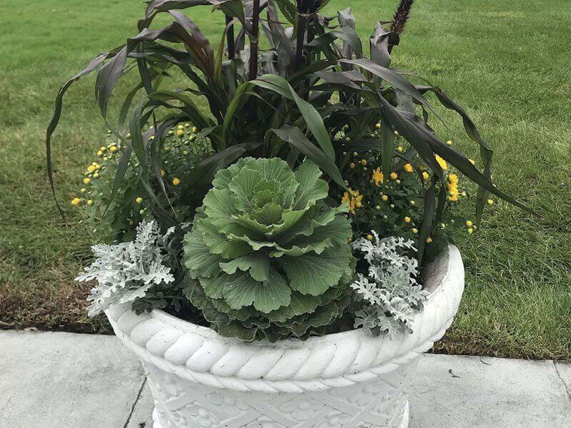 plant arrangement pot a-z landscaping
