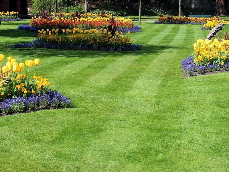 Flower Beds Lawn Care A-Z Landscaping