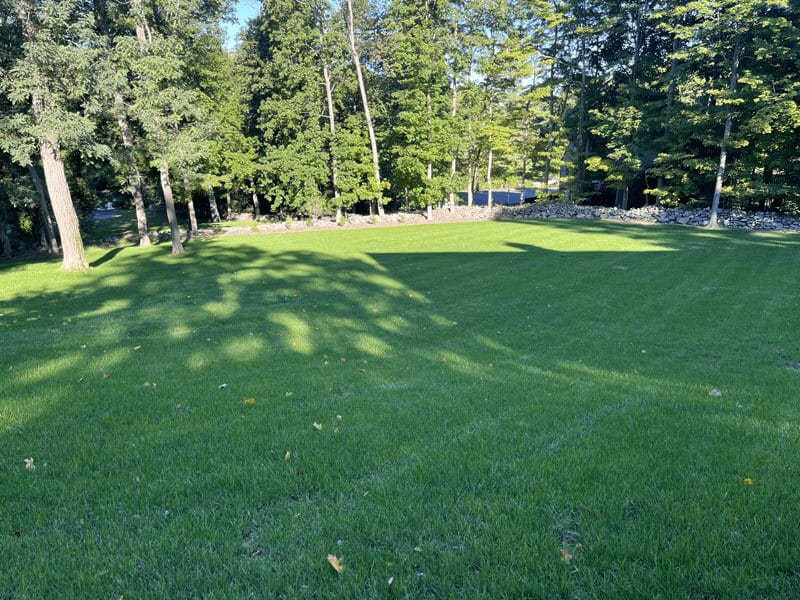 Lawn-Care-Before-Image