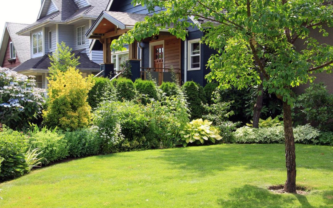 Tips for Year-Round Landscaping