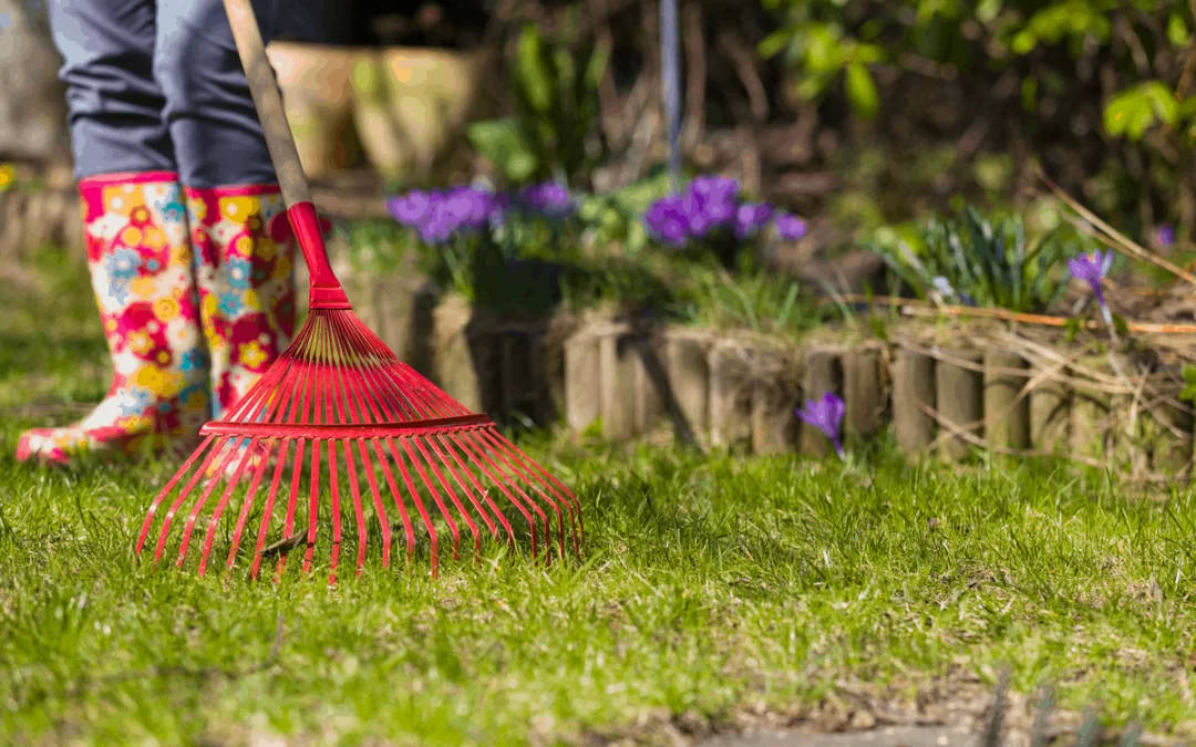 Spring Cleanup Tips for Homeowners