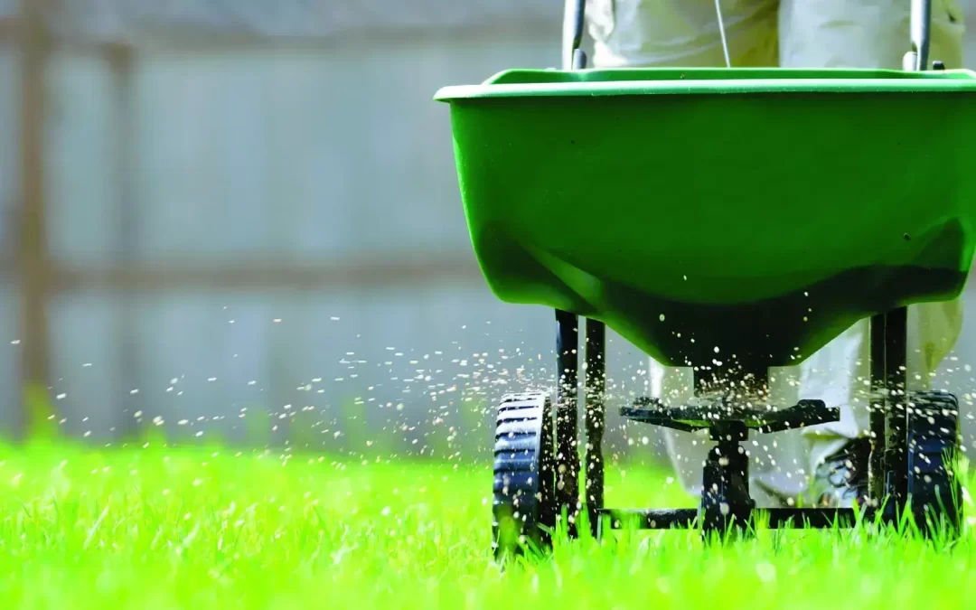 Spring Cleanup Fertilizers Are Essential