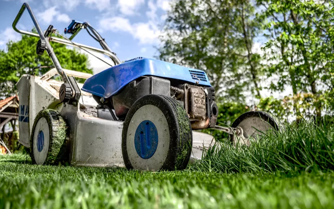 Why a New Lawn Can Change Everything